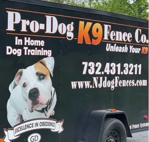 Long Line for dog training, see why ours are the best! – K9 Pro - The K9  Professionals