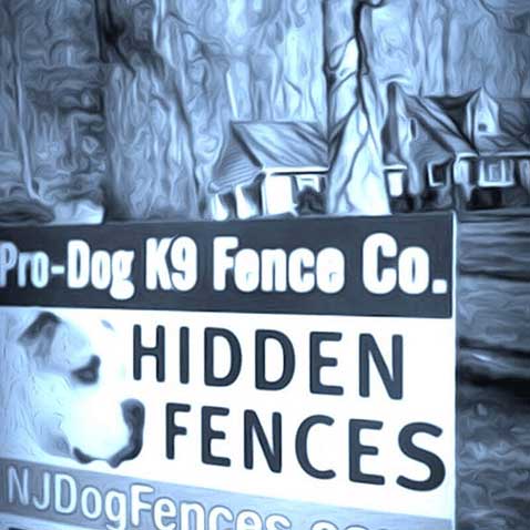 Invisible Dog Fencing, Hidden Dog Fence
